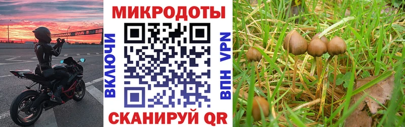 как найти наркотики Миасс Галлюциногенные грибы MAGIC MUSHROOMS